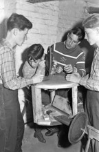Four young people in a workshop, 1950s, boys working together on a wood project in a workshop,