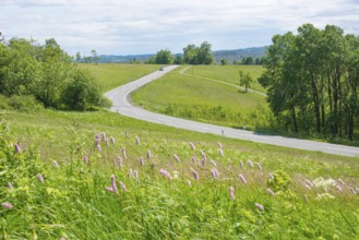 A winding road near St. Andreasberg leads over the hills in the Upper Harz through the Bergwiesen