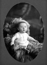 Baby fur, 1910s, A baby sits attentively on a fur-covered chair, historical photo