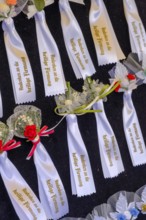 Holy Confirmation souvenir, Badge, Pin, Customs, Klagenfurt, Carinthia, Austria