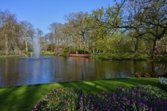 An idyllic park with a pond surrounded by flowers and trees, Keukenhof, Lisse, province of South