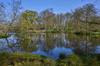 A peaceful park with a large pond in which the trees are reflected, Keukenhof, Lisse, province of