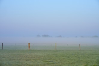A misty meadow with scattered fences creates a peaceful morning atmosphere, Sassenheim, province of