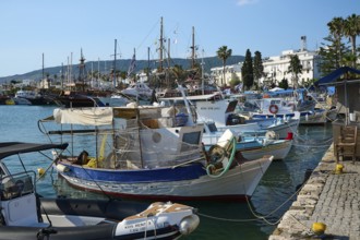 Various fishing boats are anchored in the popular harbour, Harbour, Kos Town, Kos, Dodecanese,