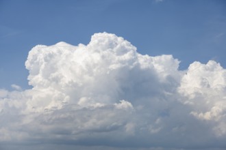Auftürmende Cumulonimbuswolke, Gewitterwolke, aufziehendes Unwetter mit Hagelsturm über der