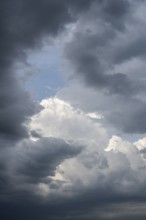 Dramatische Wolkenformation vor einem Sommergewitter, aufziehendes Unwetter, Extremwetter,