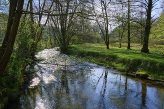 Sunbeams fall on a flowing river between trees in the forest, spring, Jossa, Sinntal, Spessart,