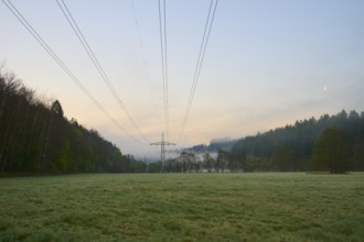 Power lines over a meadow at dawn with forest in the background, spring, Jossa, Sinntal, Spessart,