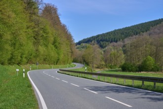 Winding country road leads through a green, wooded landscape under a clear sky, spring, Burgsinn,