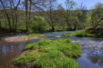 The river Sinn meanders through a green, wooded landscape under a clear sky, spring, Burgsinn,