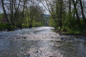 Sunlight glistening on a river, framed by a dense forest area, spring, Obersinn, Sinntal, Spessart,