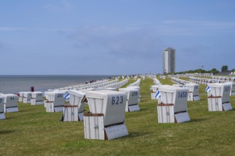 Beach chairs on the green beach, high-rise building, Büsum, North Sea, Schleswig-Holstein, Germany