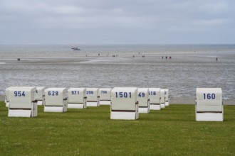 Beach chairs on the green beach, walker on the mudflats, fishing boat, Büsum, North Sea,
