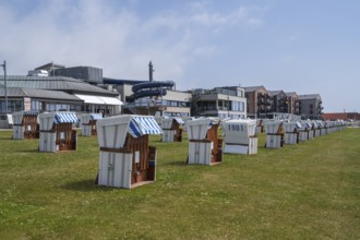 Beach chairs on the green beach, centre, Büsum, North Sea, Schleswig-Holstein, Germany