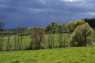 Rain clouds in a spring landscape, Franconia, Bavaria, Germany