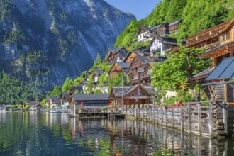 Houses on the steep bank above the lake, Hallstatt, Lake Hallstatt, UNESCO World Heritage Site,