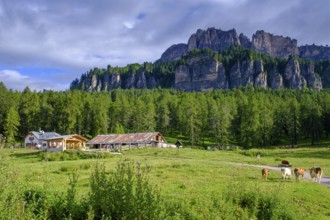 Rifugio Malga Lareto, el brite de Larieto, Cortina d'Ampezzo, Dolomites, Veneto, Italy