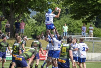 Rugby 1st Bundesliga South/West, 2024/25 season, final phase quarter-final: TSV Handschuhsheim v RC