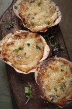 Scallop shells, stuffed, baked with cheese, in the oven, julienne with scallops