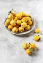 Yellow small apples, Chinese variety, on a gray plate, top view, no people