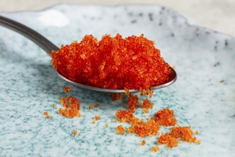 A spoon with orange flying fish caviar, Tobiko, on a light blue plate, caviar for rolls and sushi,