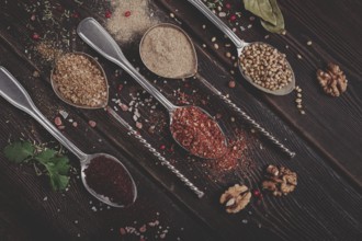 Georgian spices in spoons, on a wooden background, top view, no people