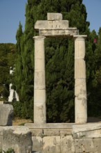 ©Udo Rein, Stone columns and ruins, surrounded by lush vegetation and a large tree, Temple of