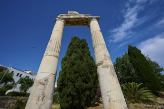 ©Udo Rein, Ancient stone columns in front of a bright blue sky and surrounded by tall trees, Temple