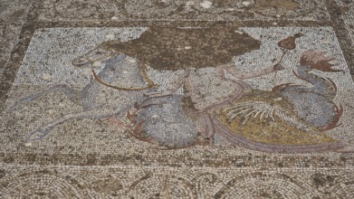 ©Udo Rein, Antique mosaic of a rider on a horse in colour pattern, water basin, Casa Romana, Kos