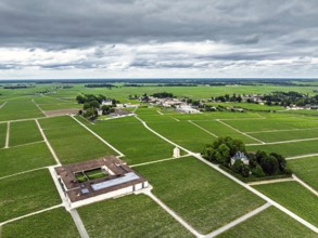 Chateau Latour Vineyard and grape fields around Pauillac from a drone, Bordeaux, Gironde,