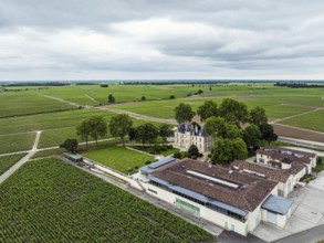Chateau Pichon Longueville Comtesse de Lalande Vineyard and grape fields around Pauillac from a