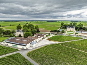 Chateau Pichon Longueville Comtesse de Lalande Vineyard and Chateau Pichon Longueville Baron
