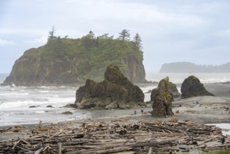 Rocks and driftwood on the beach under a cloudy sky with a small island in the background, Ruby