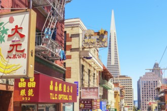 TransAmerica building seen from Chinatown, San Francisco, California, USA