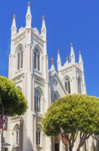 National Shrine of St. Francis of Assisi, San Francisco, California, USA