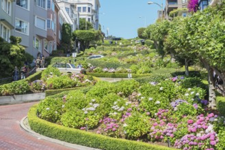 Lombard Street, San Francisco, California, USA