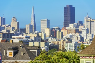 View of Downtown San Francisco skyline from Alamo Square, San Francisco, California, USA