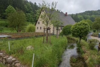 Former corn mill with mill stream, Großenohe, Upper Franconia, Bavaria, Germany