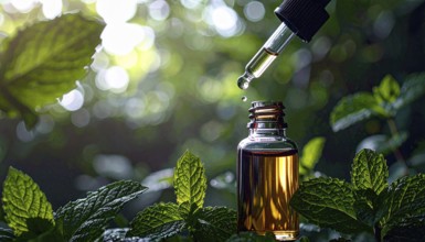 Bottle of mint oil on nature background, dropper isolated with copy space, AI generated