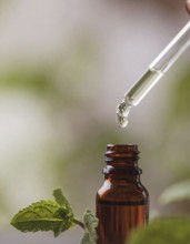 Bottle of mint oil on nature background, dropper isolated with copy space, AI generated