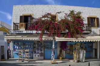 Pretty speciality shop with blooming decoration in a sunny street, souvenir shop, Skala, harbour,