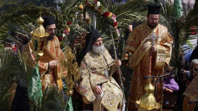 Priests in elaborate robes sit surrounded by palm trees during an outdoor religious ceremony,