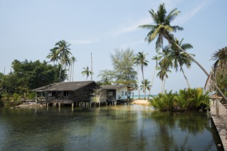 Sandy beach beach with coconut palms, Haad Na Lay Beach, Koh Kood, Koh Kut, Gulf of Thailand,