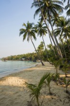 Sandy beach beach with coconut palms, Ao Noi Beach, Koh Kood, Koh Kut, Gulf of Thailand, Thailand