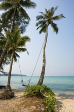 Sandy beach beach with coconut palms, Khlong Chao Beach, Koh Kood, Koh Kut, Gulf of Thailand,