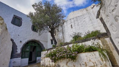 Courtyard with white walls, a tree and flowering plants, Monastery of the Revelation, Moni tis