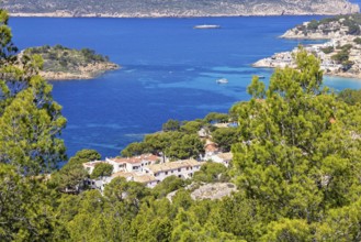 Aerial view at a village by the Mediterranean Sea at a rocky coastline and lush green trees a sunny