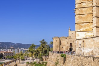 View at Palma city with tourists in the sunshine outside the famous old Palma Cathedral, Palma de