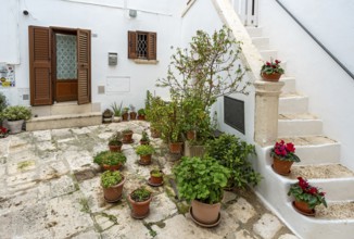 Courtyard with flowerpots, Locorotondo, Apulia - Puglia, Italy