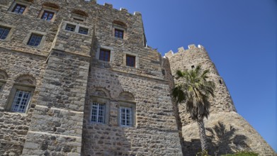 Detailed view of a castle with stone walls and windows, palm trees next to it, Monastery of St John